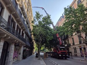 Renovación de instalaciones